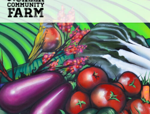Black Creek Community Farm Website